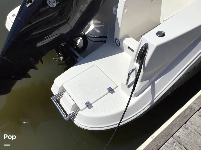 Slide: The Image of Sailfish 226 DC 2024 - 15364034