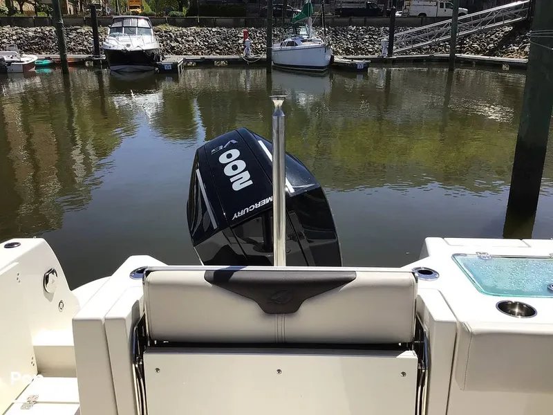 Slide: The Image of Sailfish 226 DC 2024 - 15364045