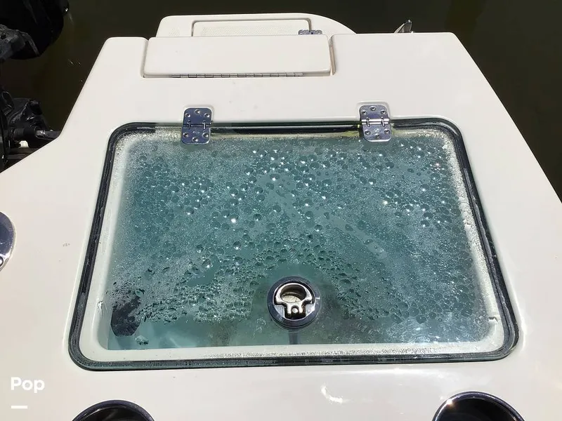 Slide: The Image of Sailfish 226 DC 2024 - 15364047