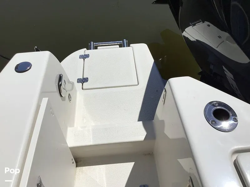 Slide: The Image of Sailfish 226 DC 2024 - 15364052