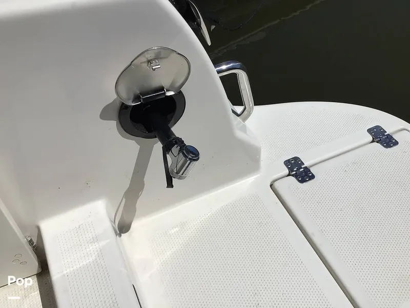 Slide: The Image of Sailfish 226 DC 2024 - 15364053