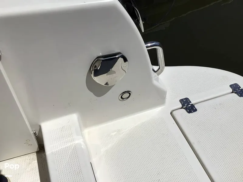 Slide: The Image of Sailfish 226 DC 2024 - 15364054