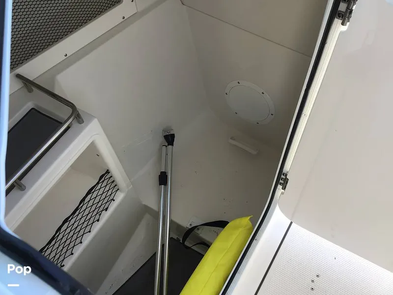 Slide: The Image of Sailfish 226 DC 2024 - 15364061