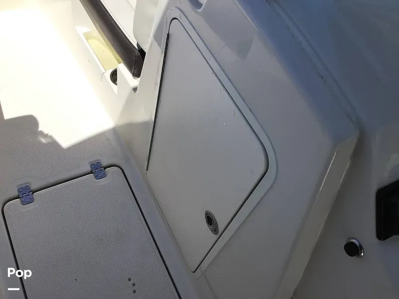 Slide: The Image of Sailfish 226 DC 2024 - 15364065