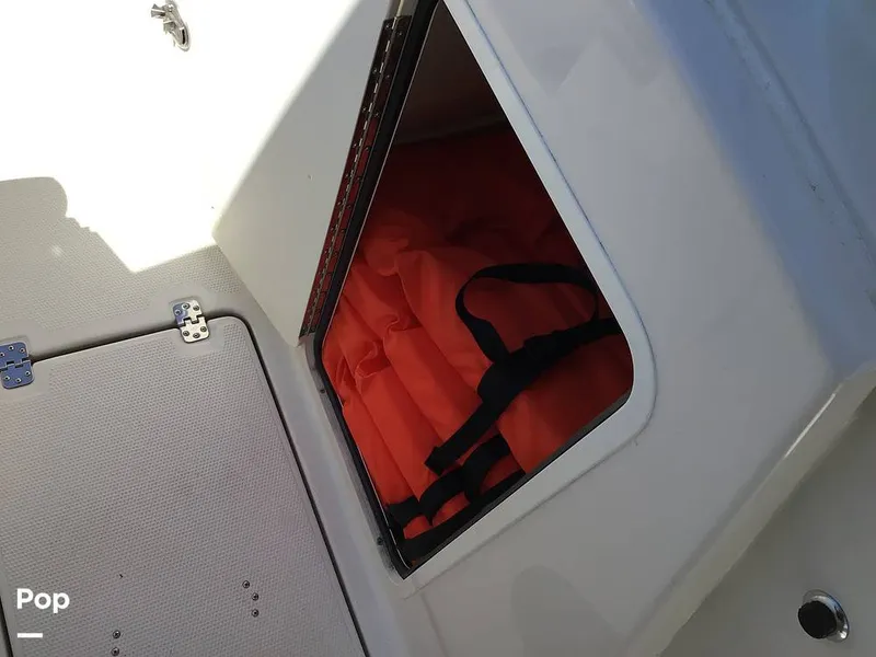 Slide: The Image of Sailfish 226 DC 2024 - 15364066