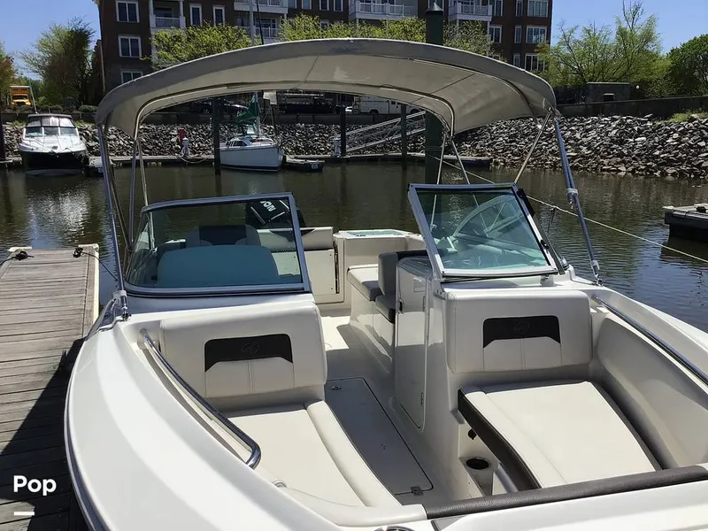 Slide: The Image of Sailfish 226 DC 2024 - 15364027