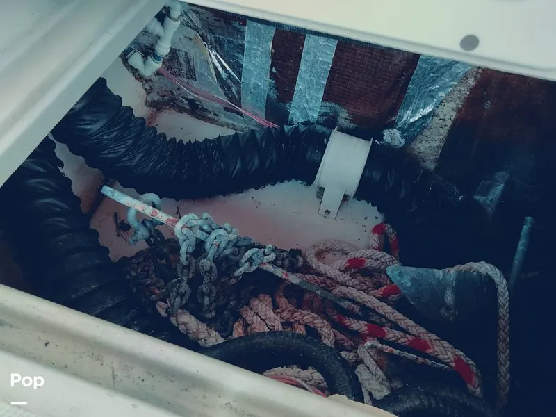 Slide: The Image of Wellcraft 290 2003 - 15309665