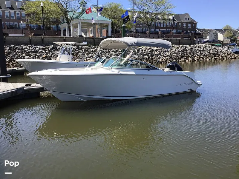 The Image of Sailfish 226 DC 2024 - 15364097