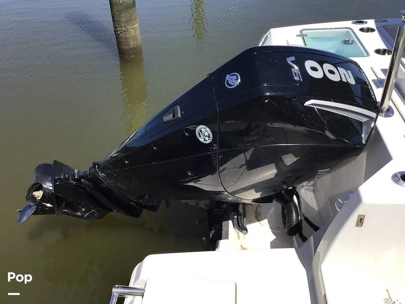 Slide: The Image of Sailfish 226 DC 2024 - 15364109