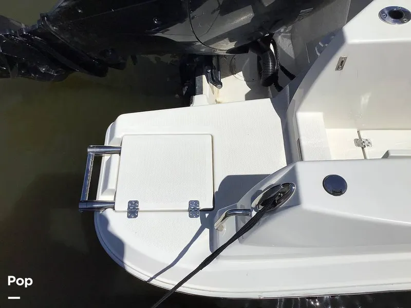 Slide: The Image of Sailfish 226 DC 2024 - 15364110