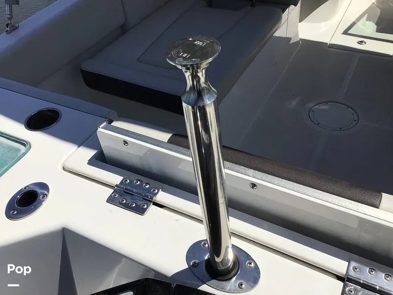 Slide: The Image of Sailfish 226 DC 2024 - 15364113