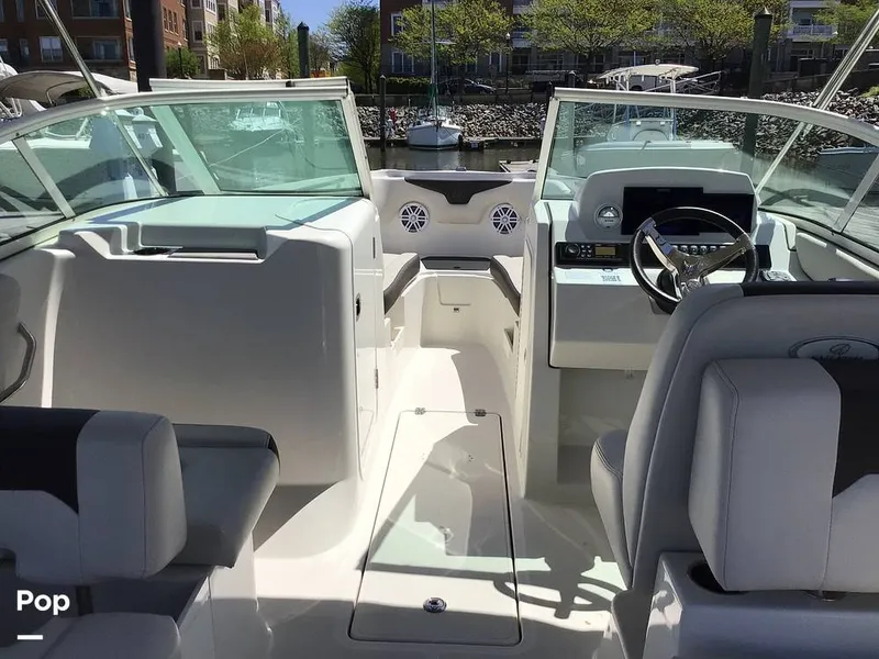 Slide: The Image of Sailfish 226 DC 2024 - 15364114