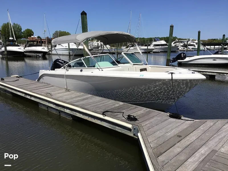 Slide: The Image of Sailfish 226 DC 2024 - 15364098