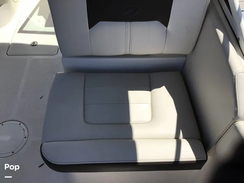 Slide: The Image of Sailfish 226 DC 2024 - 15364126