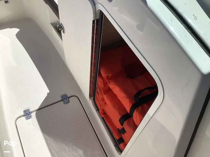 Slide: The Image of Sailfish 226 DC 2024 - 15364151