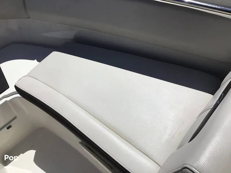 Slide: The Image of Sailfish 226 DC 2024 - 15364202