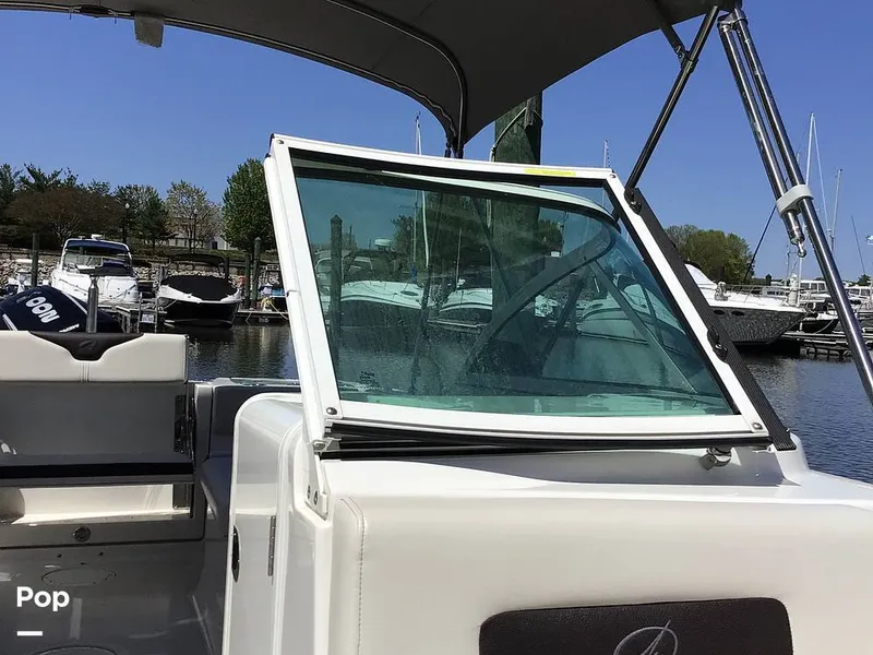 Slide: The Image of Sailfish 226 DC 2024 - 15364211