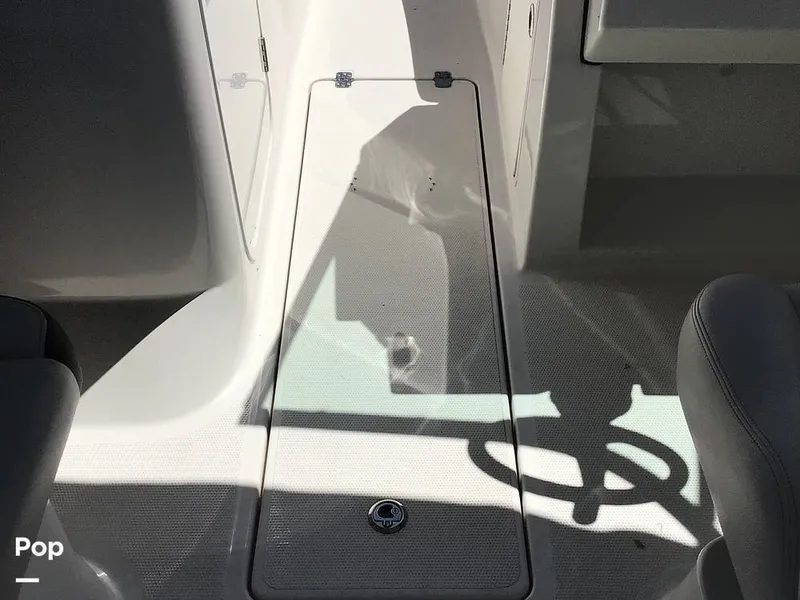 Slide: The Image of Sailfish 226 DC 2024 - 15364212