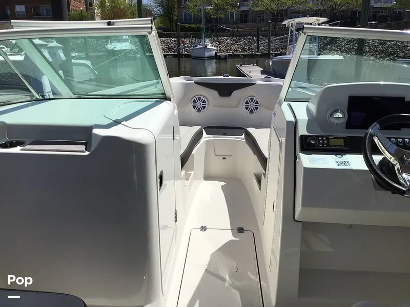 Slide: The Image of Sailfish 226 DC 2024 - 15364216