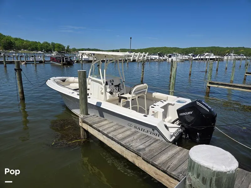 The Image of Sailfish 220 CC 2024 - 15385701