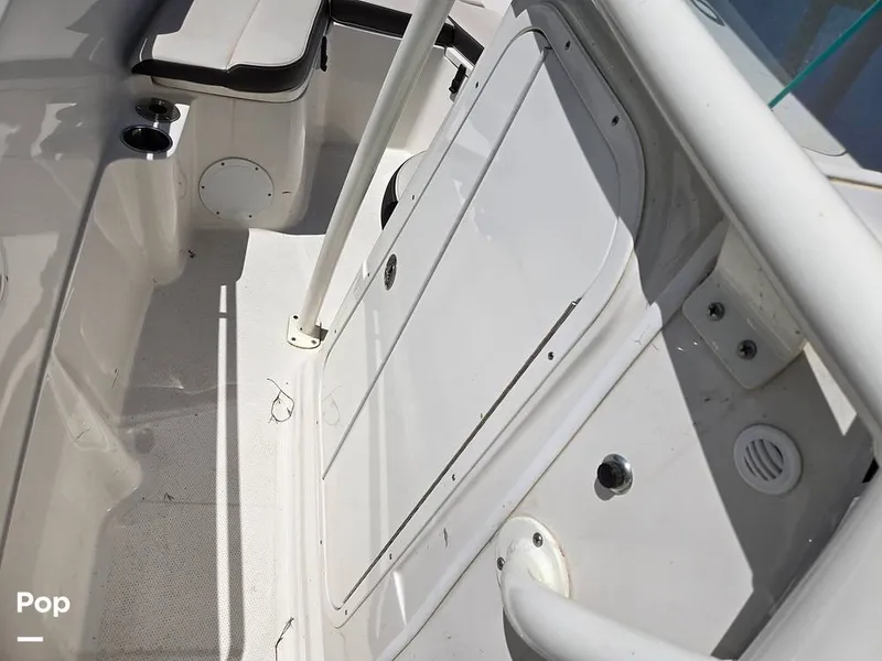 Slide: The Image of Sailfish 220 CC 2024 - 15385730