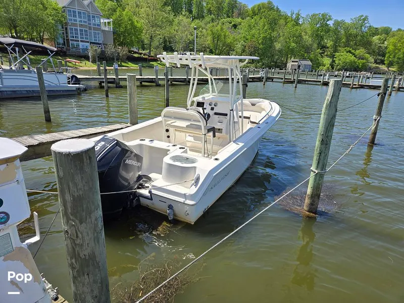 Slide: The Image of Sailfish 220 CC 2024 - 15385703