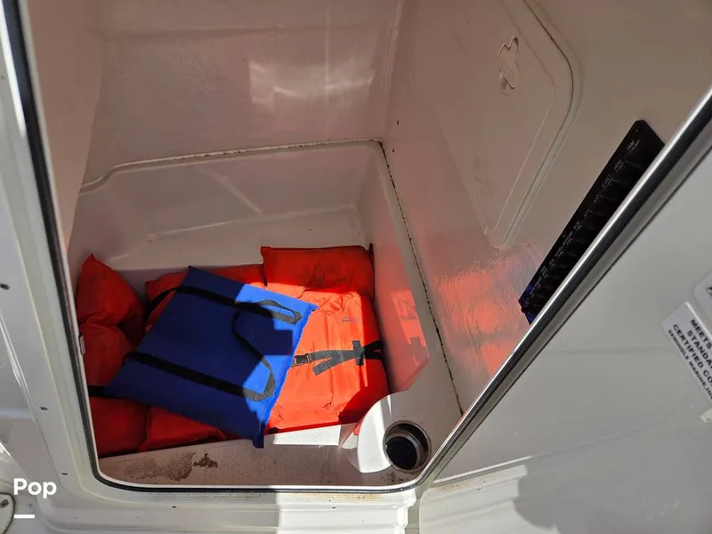 Slide: The Image of Sailfish 220 CC 2024 - 15385733