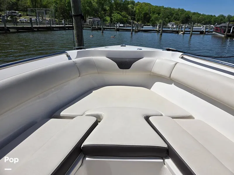 Slide: The Image of Sailfish 220 CC 2024 - 15385797