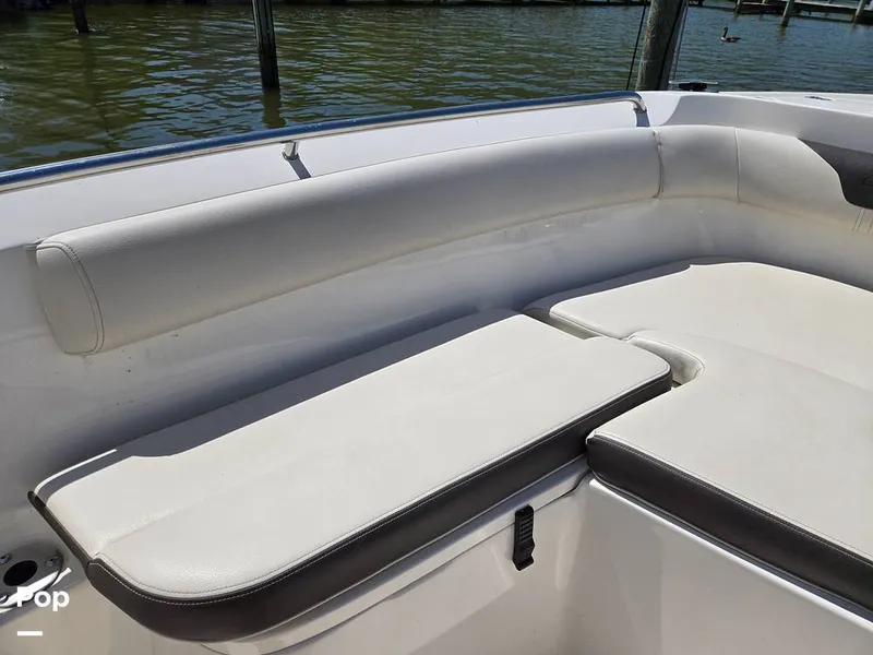 Slide: The Image of Sailfish 220 CC 2024 - 15385798