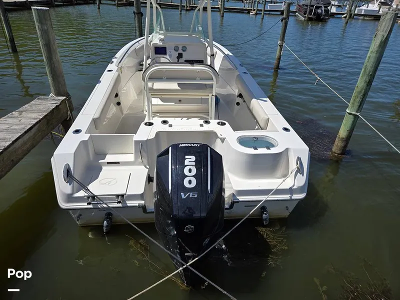 Slide: The Image of Sailfish 220 CC 2024 - 15385704