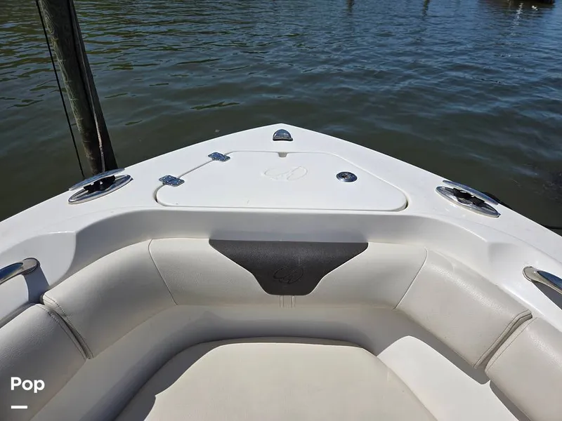 Slide: The Image of Sailfish 220 CC 2024 - 15385804