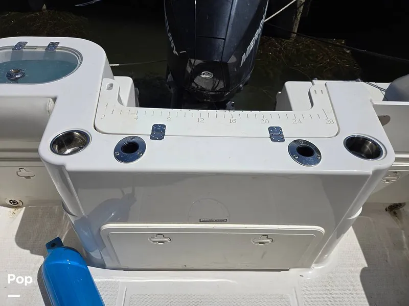 Slide: The Image of Sailfish 220 CC 2024 - 15385811