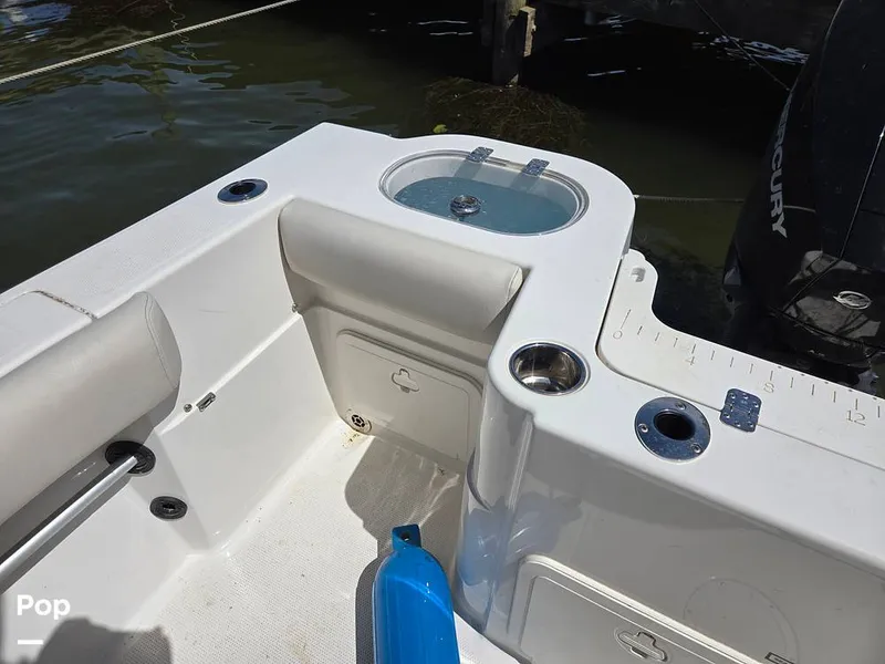 Slide: The Image of Sailfish 220 CC 2024 - 15385812