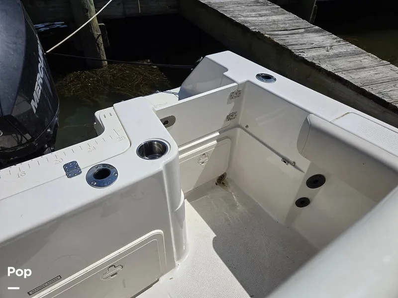 Slide: The Image of Sailfish 220 CC 2024 - 15385813