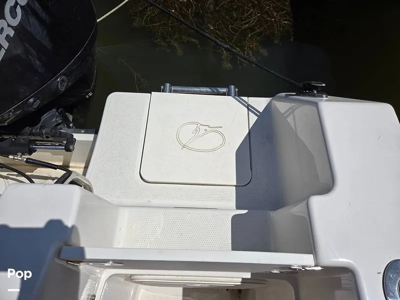 Slide: The Image of Sailfish 220 CC 2024 - 15385816