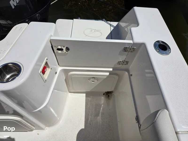 Slide: The Image of Sailfish 220 CC 2024 - 15385817