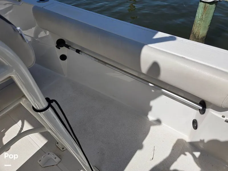 Slide: The Image of Sailfish 220 CC 2024 - 15385819