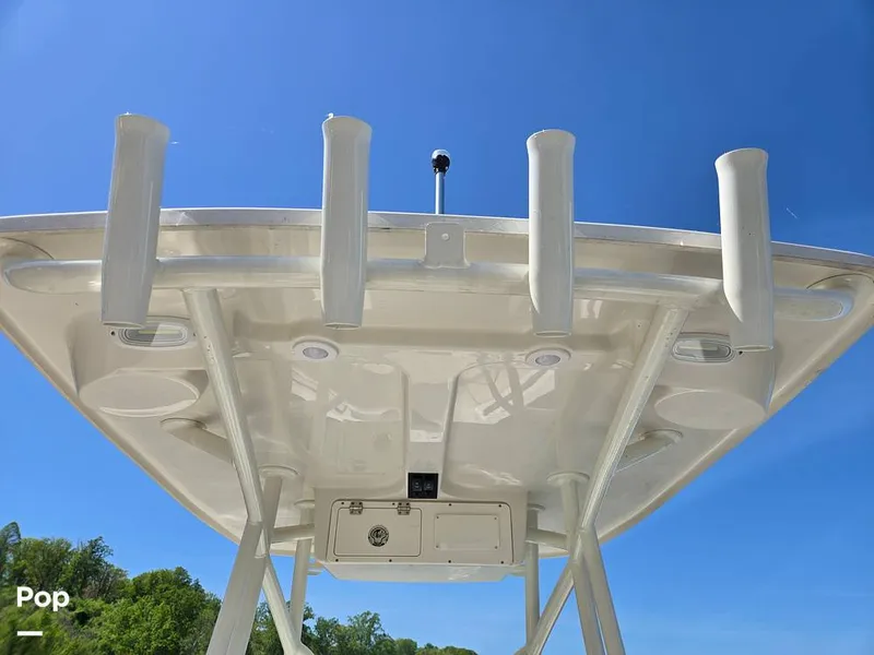 Slide: The Image of Sailfish 220 CC 2024 - 15385822