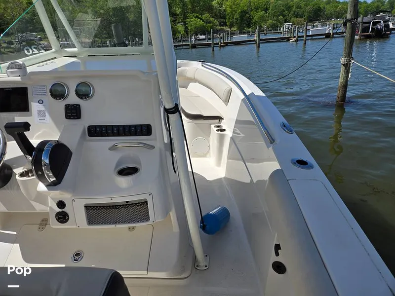 Slide: The Image of Sailfish 220 CC 2024 - 15385708