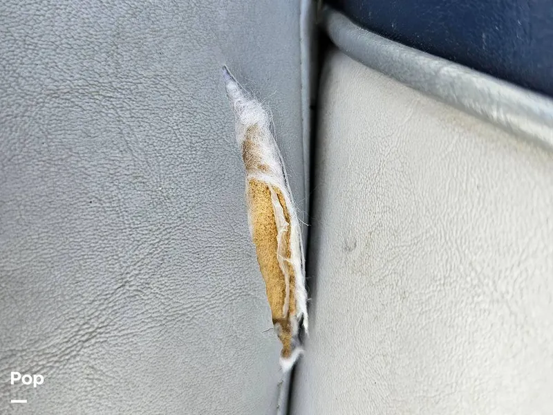 Slide: The Image of Air Nautique 236 Team Edition 2007 - 15442471