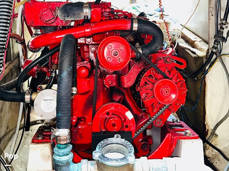 Slide: The Image of Aloha 8.5 1986 - 15564506