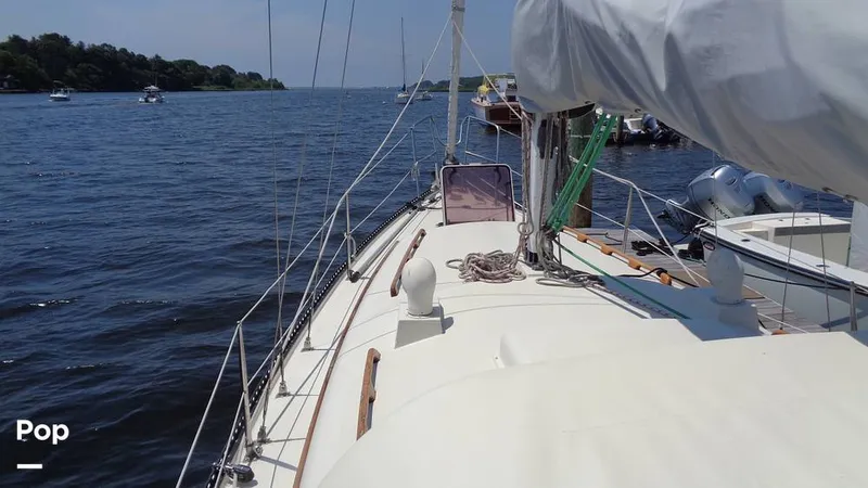 Slide: The Image of Aloha 8.5 1986 - 15564454