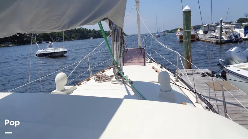 Slide: The Image of Aloha 8.5 1986 - 15564457