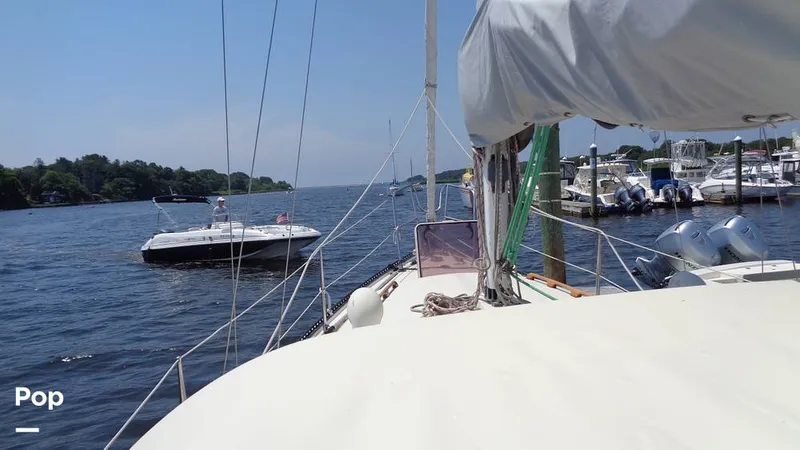 Slide: The Image of Aloha 8.5 1986 - 15564458