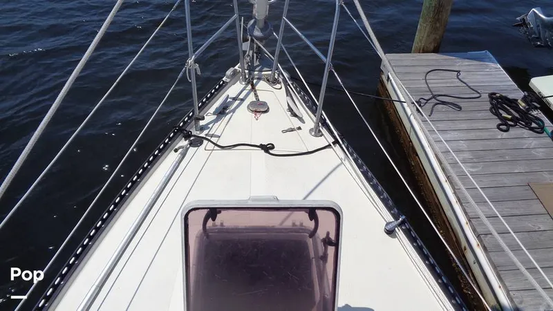 Slide: The Image of Aloha 8.5 1986 - 15564475