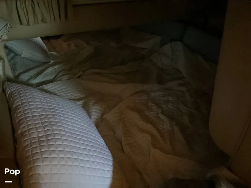 Slide: The Image of Sea Ray 310 Sundancer 1998 - 15670170