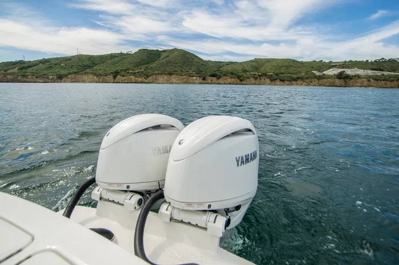 Slide: The Image of Regulator Marine 23 2026 - 12