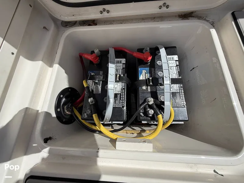 Slide: The Image of Century 3200 CC 2015 - 15410619