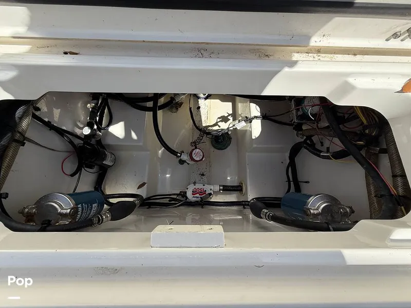 Slide: The Image of Century 3200 CC 2015 - 15410620