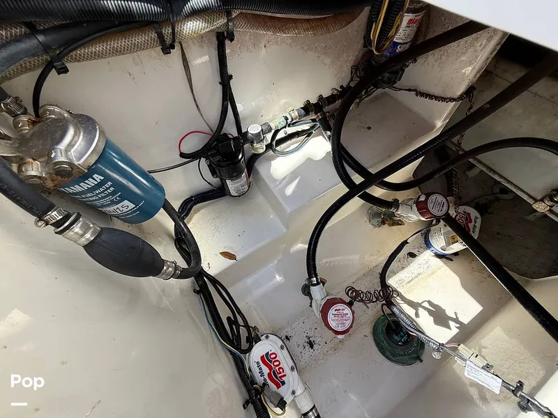 Slide: The Image of Century 3200 CC 2015 - 15410621